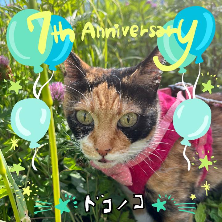 4ba7b685 7154 47a1 9e43 b4f15f477ae0 1685931007504