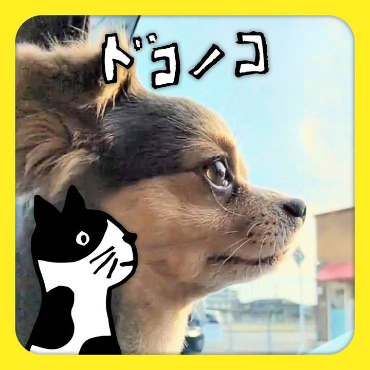 4ba7c94f 02bc 409f a513 b19840563214 1623050871882