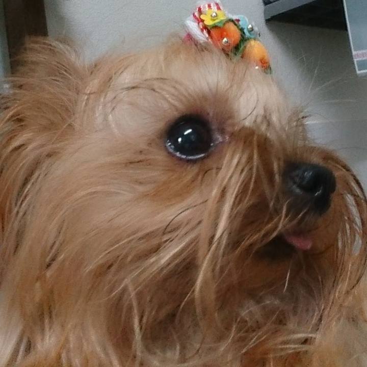 4ba7f957 c77b 4244 b950 f7addf01ee85 1629521829688