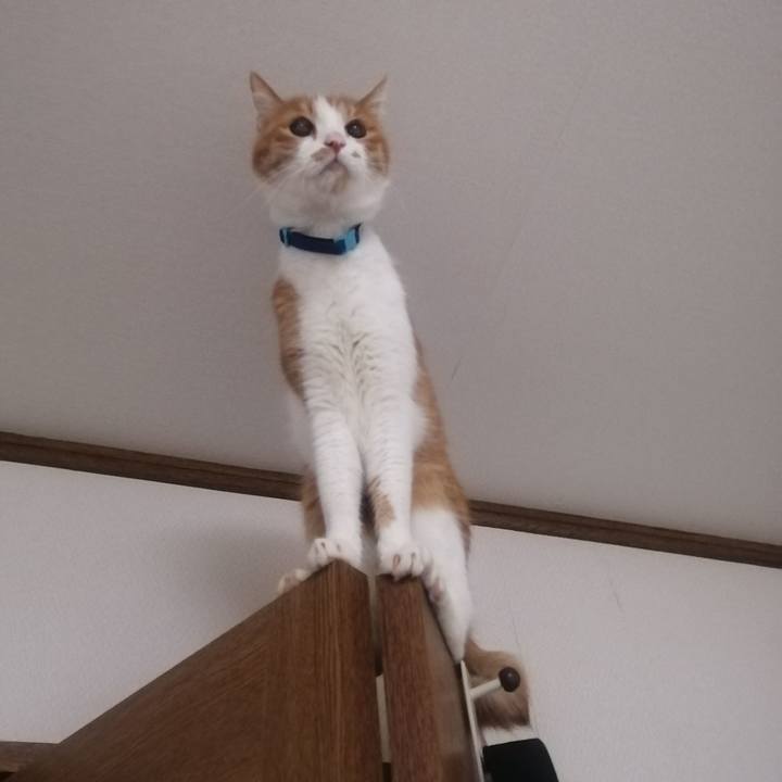 4ba81fdf c06a 4c6b 8537 07753b62ba14 1651959029839