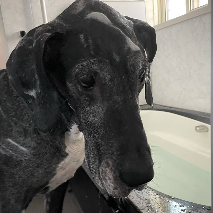 4ba83a33 099b 43ea a419 12e46c603617 1630128794357