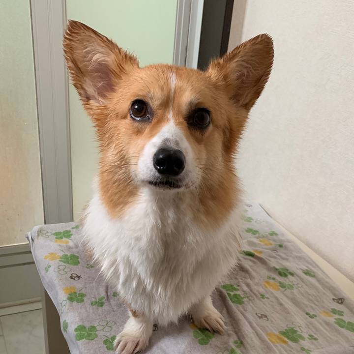 4ba863a4 ec04 4f4a bdda 4cc19106e8dc 1560484836280