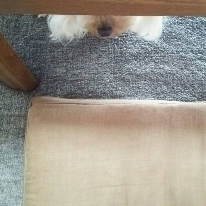 4ba875f3 c8d1 46b0 83d6 a2436b899d50 1536402107772