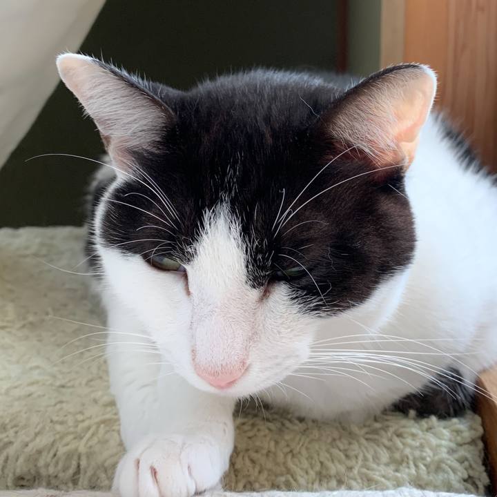 4ba89080 4d7a 4e1f ada0 5d513f0f04fd 1572054671730