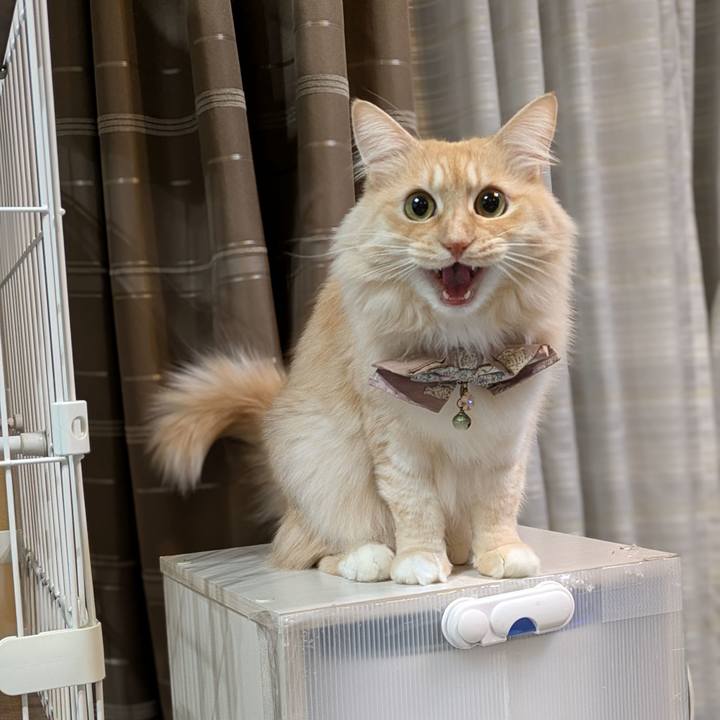 4ba89ce4 759e 4015 8c3e e04db15b48d4 1736072386872