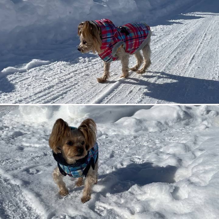 4ba9098e 5547 42a5 bda4 e9571df7de61 1642929169229