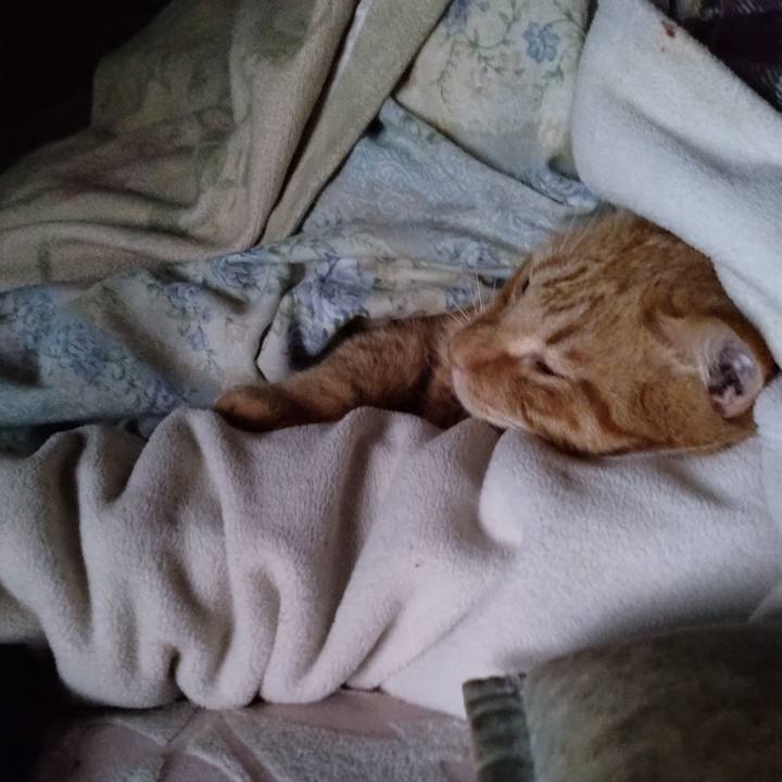 4ba91833 bcbe 4b58 9ed6 6f426b99ee14 1766643454711