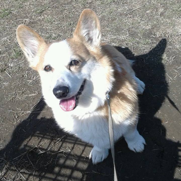 4ba92940 ddfe 41d9 a314 968ecd8bf14c 1645396570713