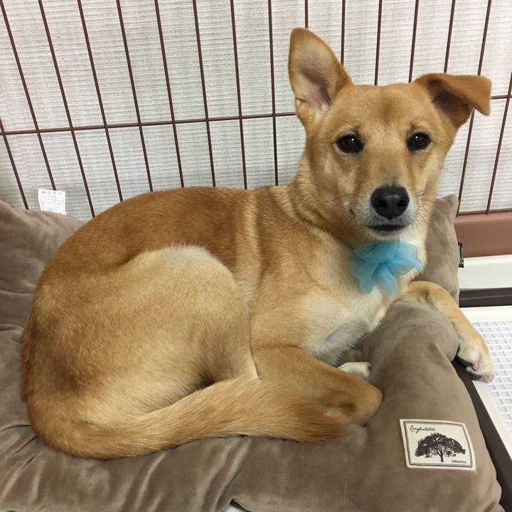 4ba9642d 3a61 40d8 aae6 107cabb6acc0 1509752385689