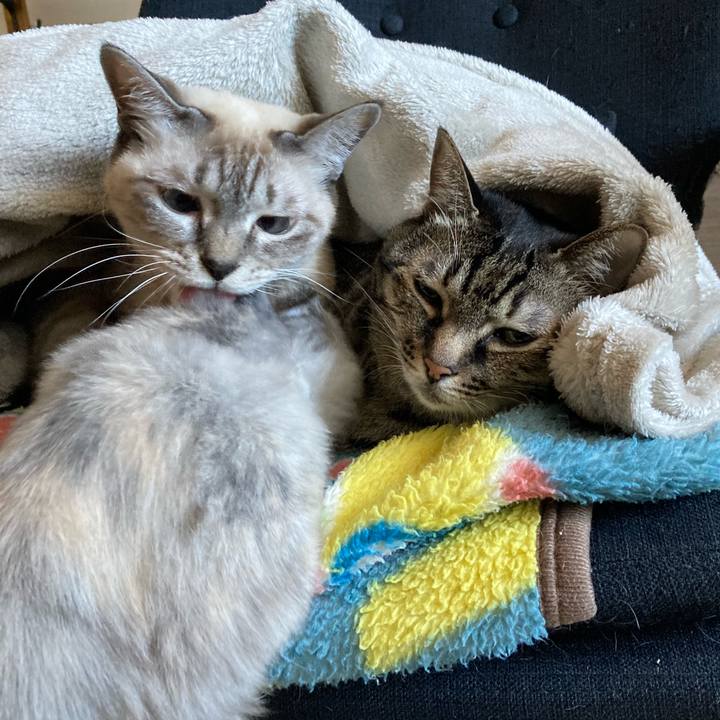 4ba97f79 7a22 4966 90d5 5527e48020fc 1701486297468