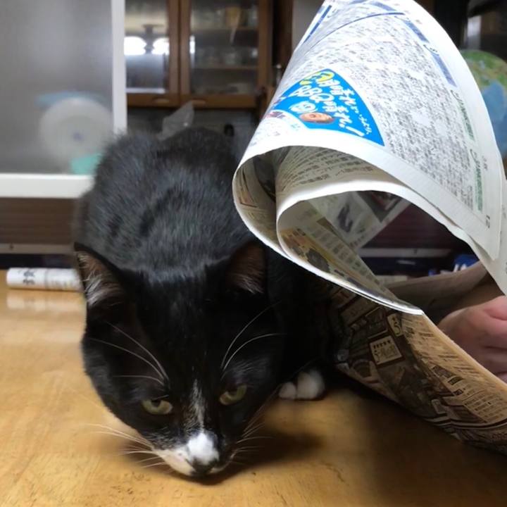 4ba9842c 753d 4a31 b3c9 2a6a34f49d1d 1527306339987