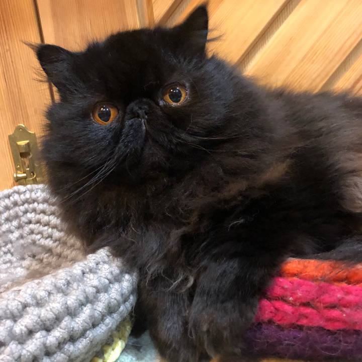 4ba98460 5566 40f1 aea2 d8293bce00dd 1588505799511