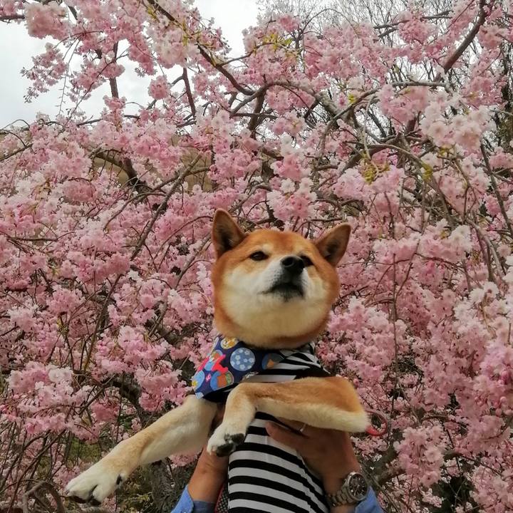 4ba98ff3 726f 4db3 a948 3ea04fafc89a 1616920396312