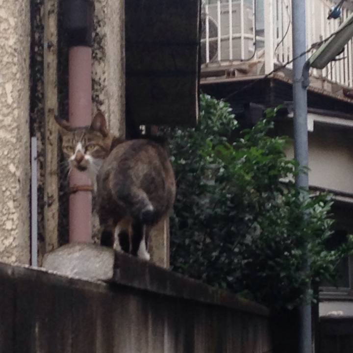 4ba9b273 fa54 4f27 ba8e 1298d218c283 1508511707895