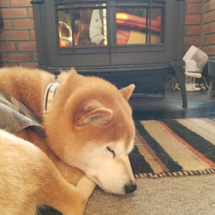 4ba9bba2 09e6 48c9 a049 eb6399287f32 1615416797363