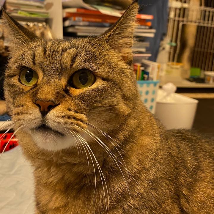 4ba9e276 a61b 4c47 9bb2 edcdb31198f9 1665394347377