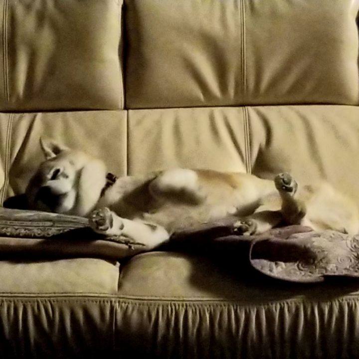 4baa0686 3b39 411c 84e2 e83cb5d1baba 1747045409428