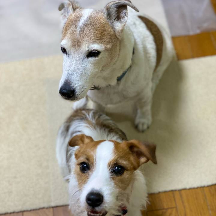 4baa14b2 82c2 40e5 a573 3c20ad3b303f 1641602986300