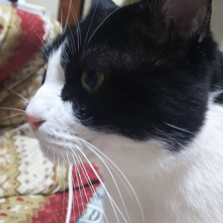 4baa1dde ed97 46ba bcb3 959bafb9a693 1580248688641