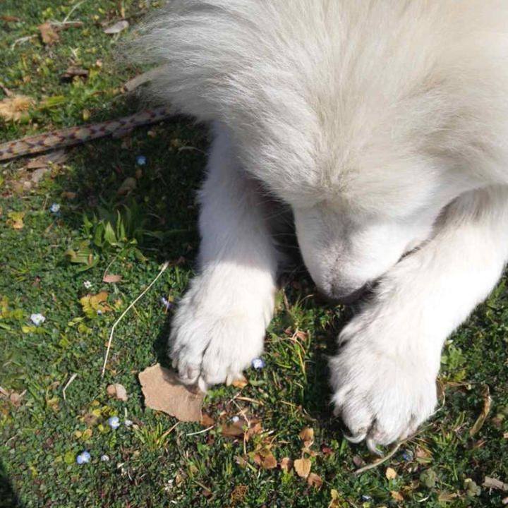 4baa539f 70d5 46dd b1d1 a748baaea3b6 1678937370643