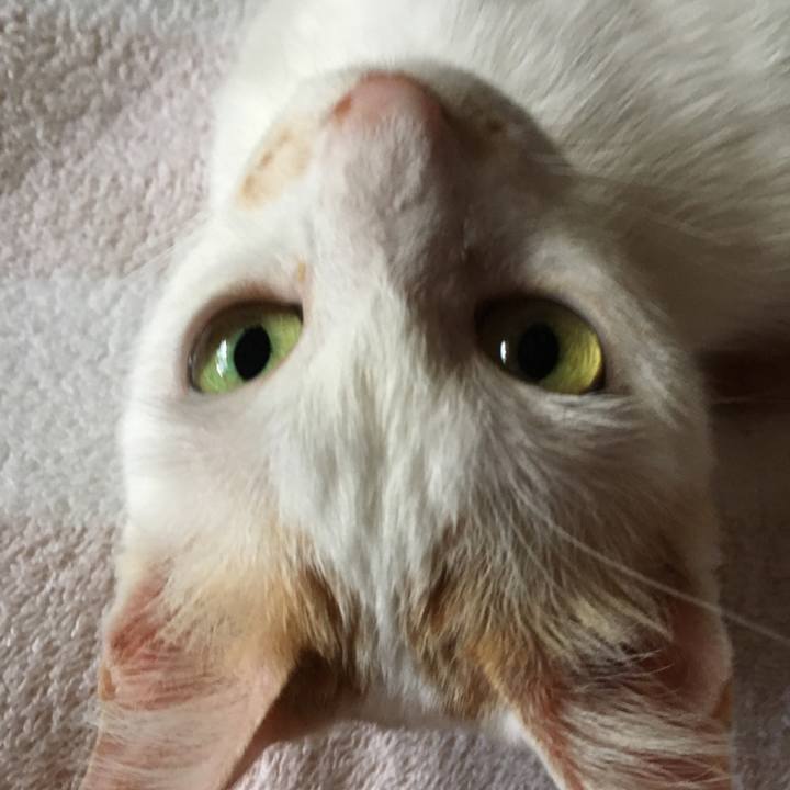 4baa5f13 623c 4551 9d22 dfb587384d21 1534322841791