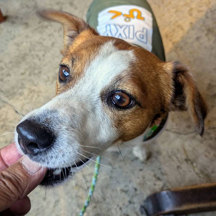 4baa89c0 cdaa 4b30 aabe f1e607603fb3 1747005684563