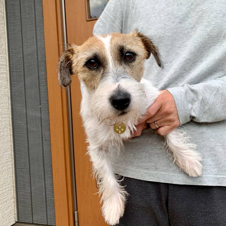 4baaa9ff 2a39 4609 999f 1749ee96a2f0 1604725642451