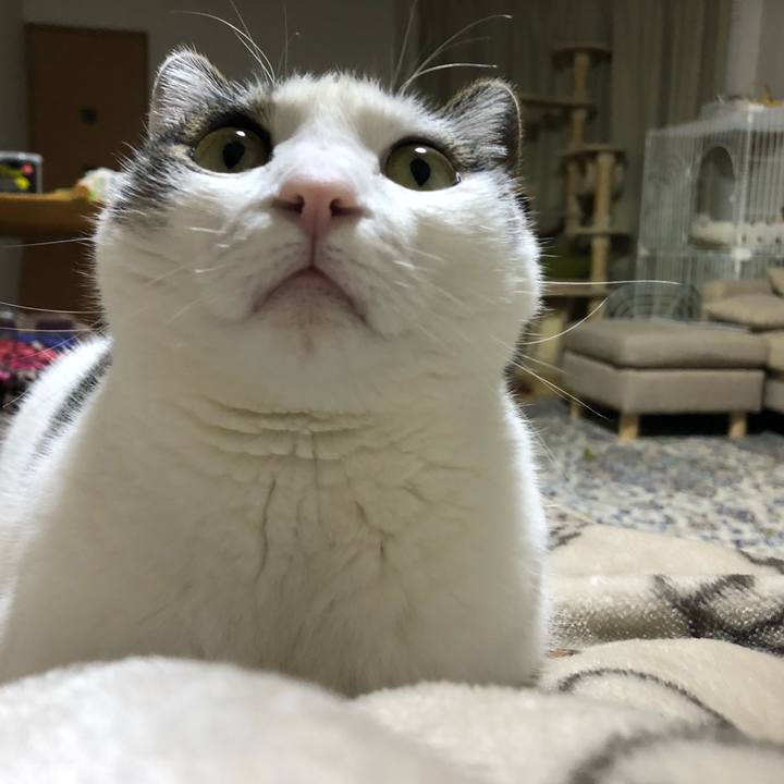 4baadf68 c839 4f6f b18b d501e7b2524a 1712151038436