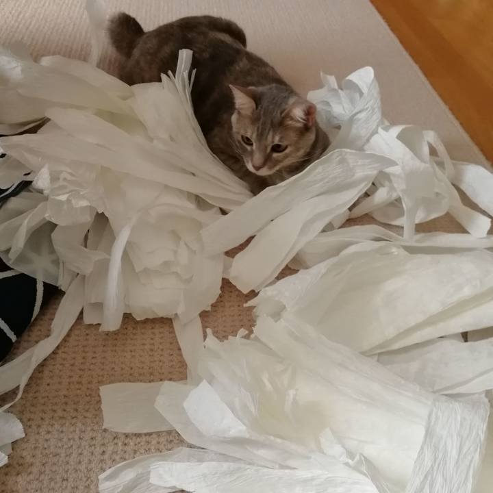 4baaf290 0809 402a 9975 9e7cff06a4cb 1525406200583