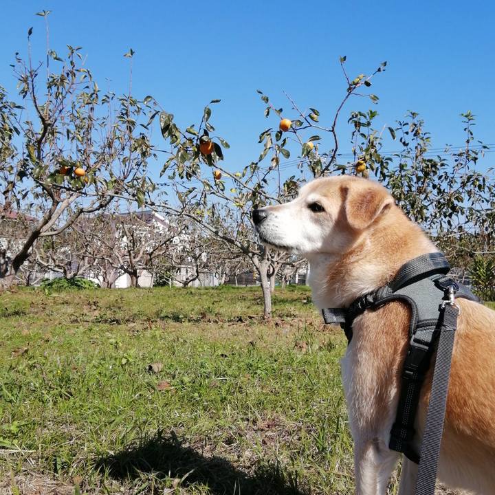 4baaff55 1b08 44ef 8995 8ac53e650fba 1635411428327