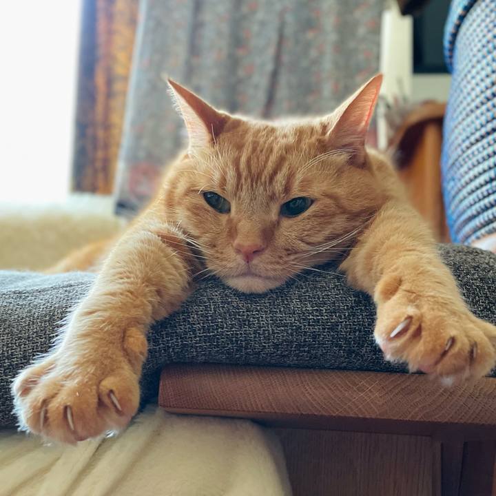 4bab0dd8 0bb2 4d93 ae87 2853dcab8213 1688684323743