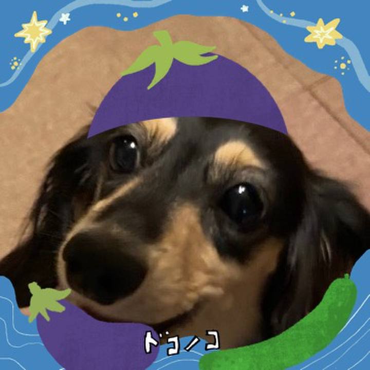 4bab17ef e951 4c1f 87ae 5e9d41db6c74 1755216558044