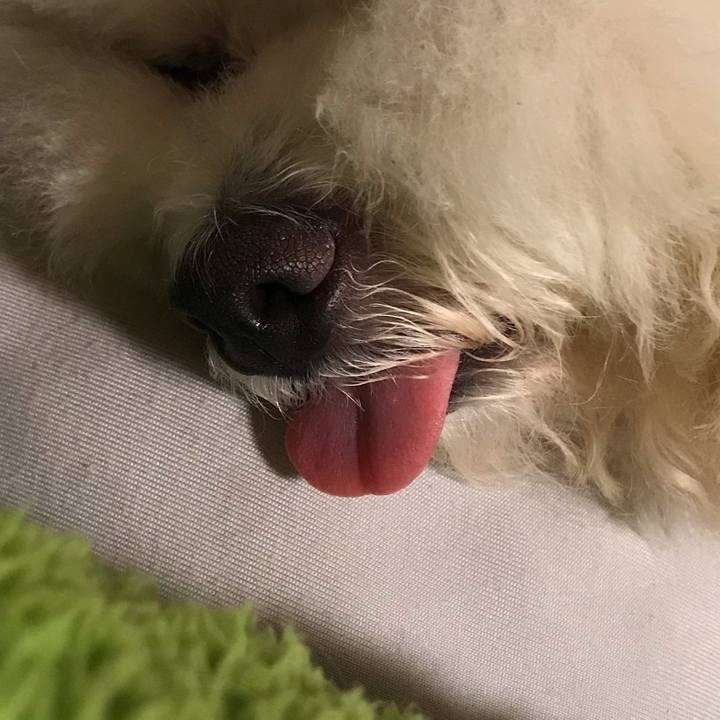 4bab43b0 5fc1 4efb ad8e 68705d477c66 1597672847623