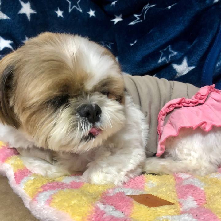 4bab7c59 68d2 47e5 a602 b8c6365194d9 1574602548752