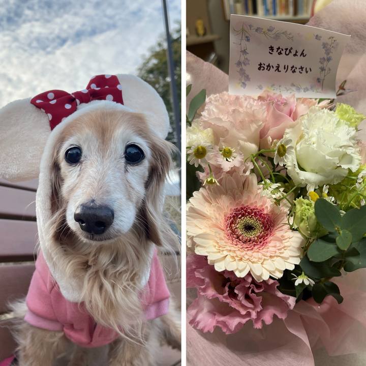 4babcac8 e919 4bd3 9497 cddb361c11dd 1763362819864