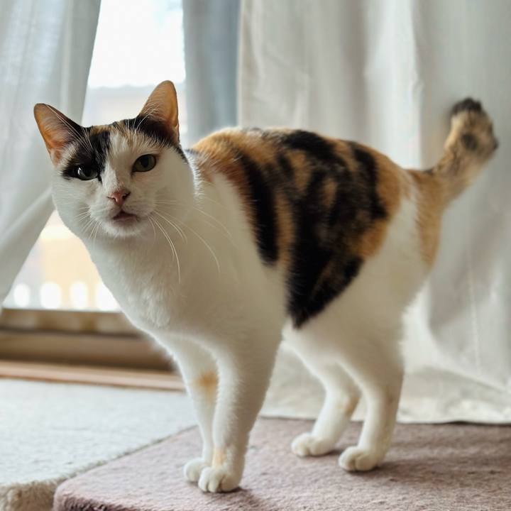 4babfd71 72c5 4952 8879 411f3b4f6917 1703816196811