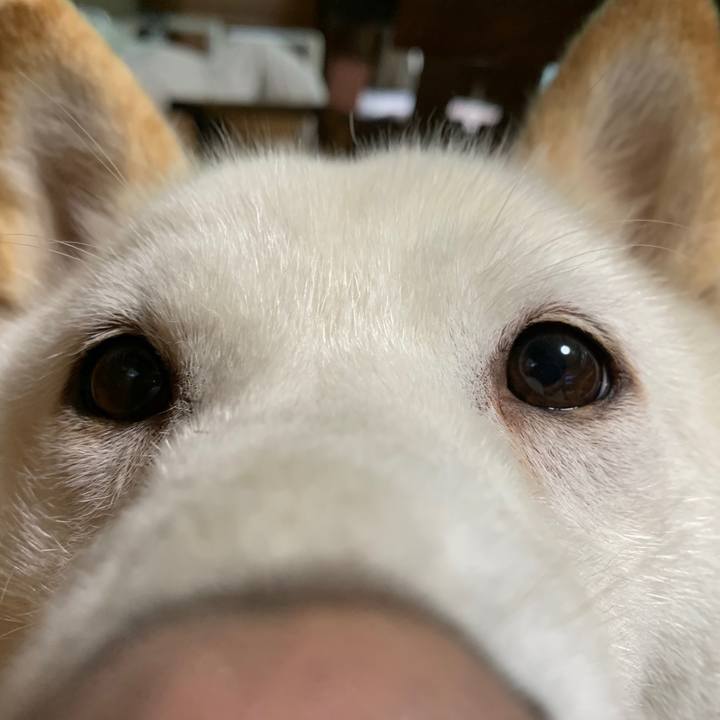 4bac469f 93e6 4a1f 8294 3847596183c1 1594418308900