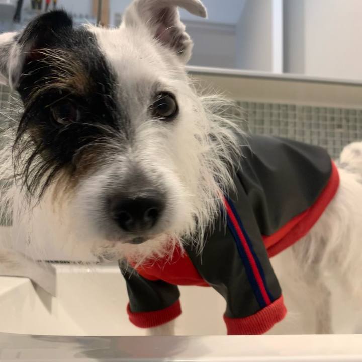 4bac60de 29ec 4945 99c2 1fa32e5e9a6c 1651883806740