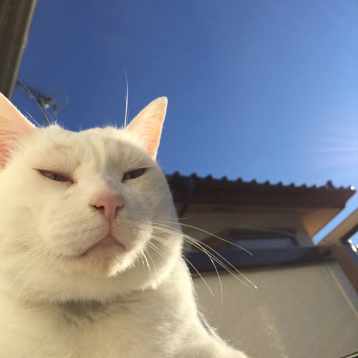 4bac61c5 496f 4196 ad97 f6524a3a3a3b 1510788158544