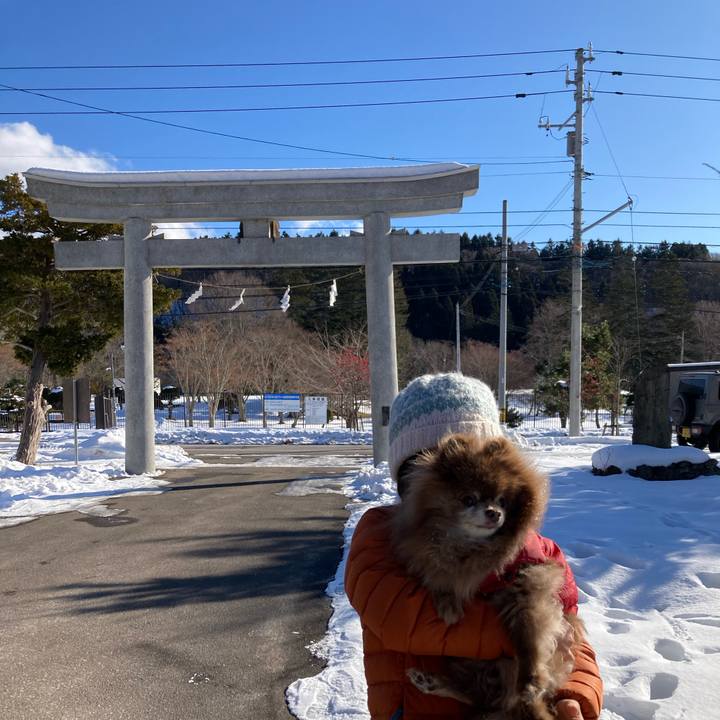 4bac7619 9cb3 4c0e 83dd de67e3e5f0b9 1735944702296