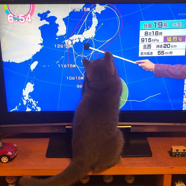 4bac7720 fc58 4b9a 89a7 678c4e00bad9 1570528605995