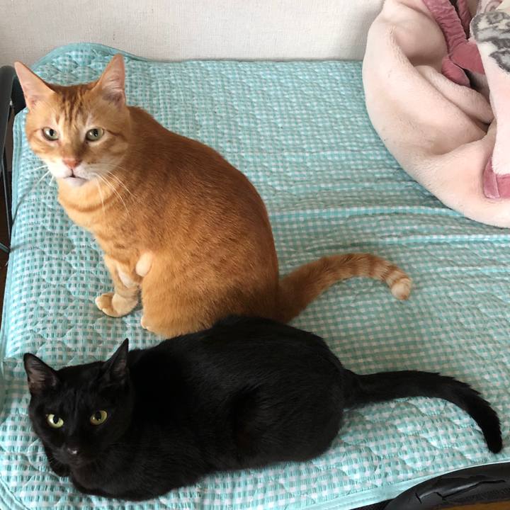 4bac98b4 000b 4f65 bb92 0b7d9a7f4823 1661898424296