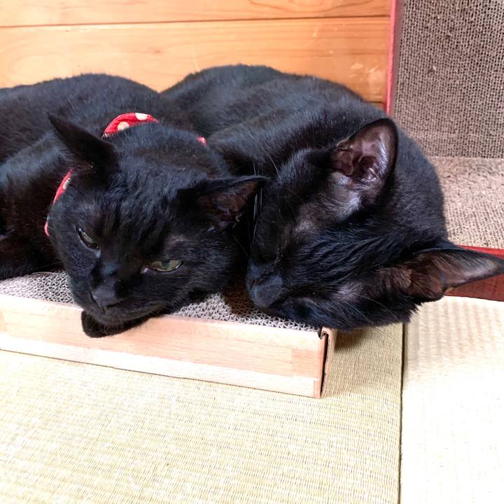 4bacd9c4 c50f 4d98 86be 92a9442fb505 1593225363268