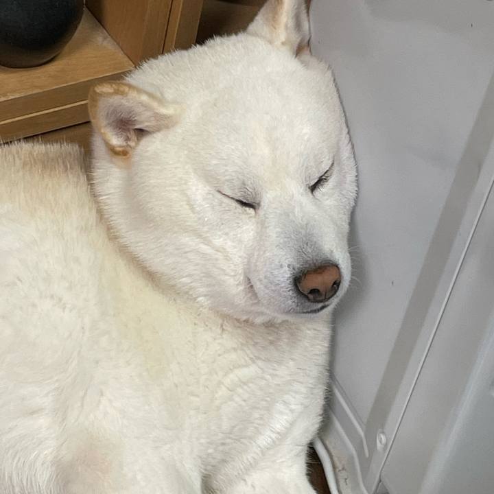 4bad1804 4134 4263 95d1 ae7c7b6ca343 1650609288542