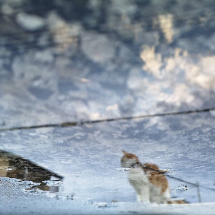 4bad190e 0256 45bb 9b71 e10a814458b0 1554028928523