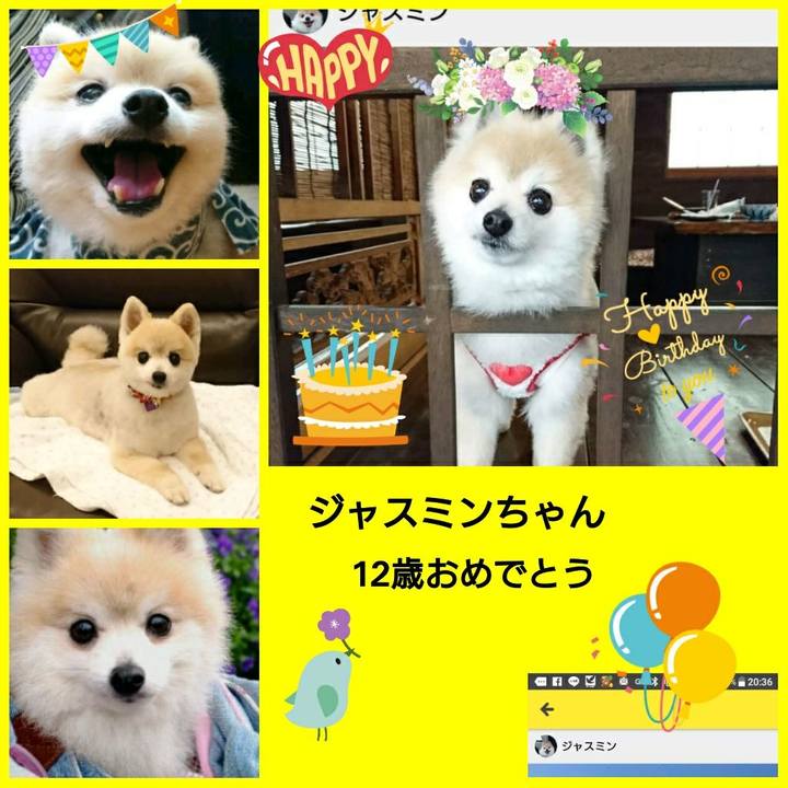 4bad2ad4 076f 4968 8459 4e57a75be9de 1528759636419