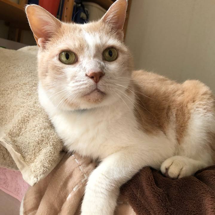 4bad5e48 b8d5 4e01 b854 3ec73322ad3f 1631320959541