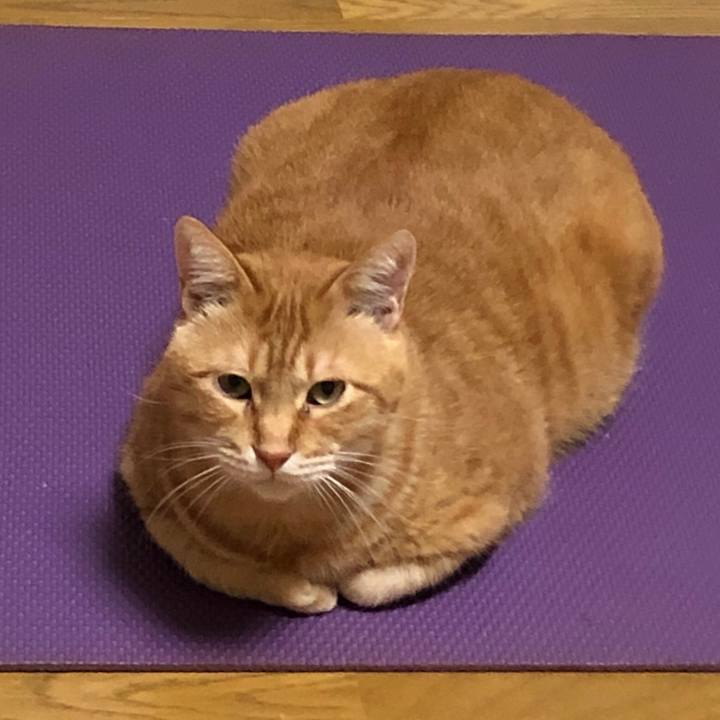 4badea28 bdec 479e 8756 58d4422c3e52 1603619001290