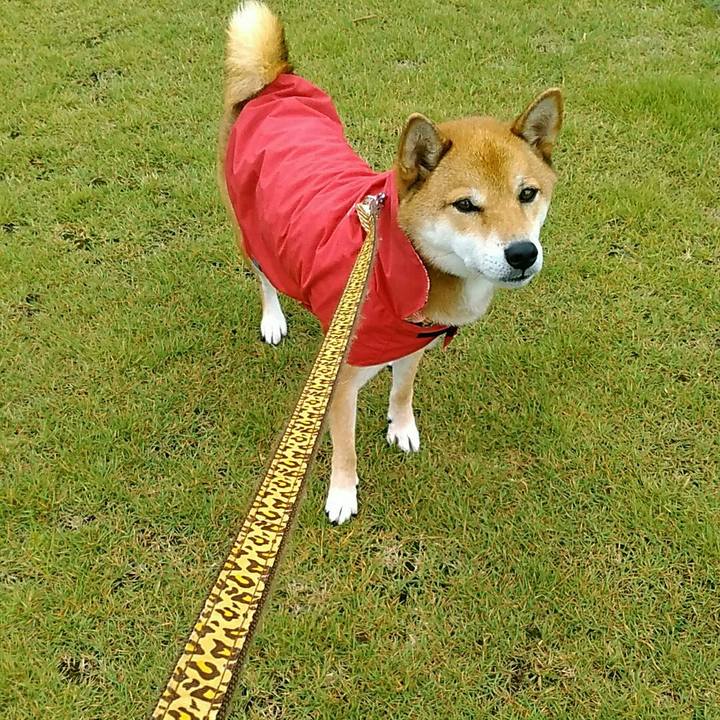 4badf02d b95f 46d8 9423 00f5b02010c3 1538181516747