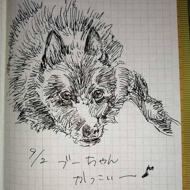 4bae3157 29a0 4494 a254 640b5f8997bf 1662071284025